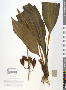 LE 01058476