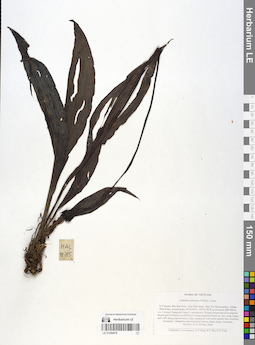 LE 01058478