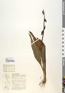LE 01058486