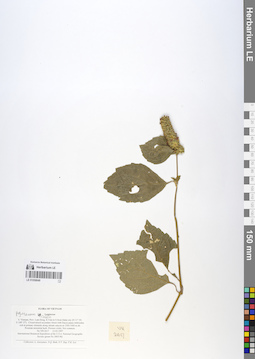 LE 01058649