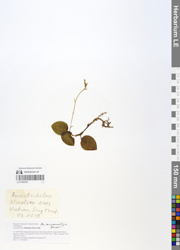 LE 01058726