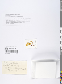 LE 01058749