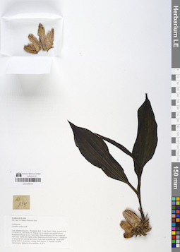 LE 01048773
