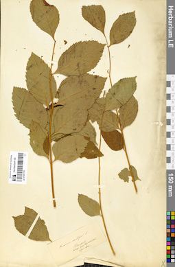 LE 01061791