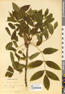LE 01061834