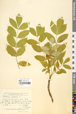 LE 01061837