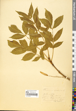 LE 01061839