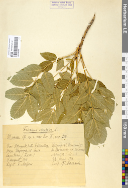 LE 01062490