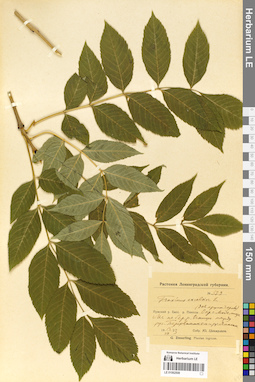 LE 01062508