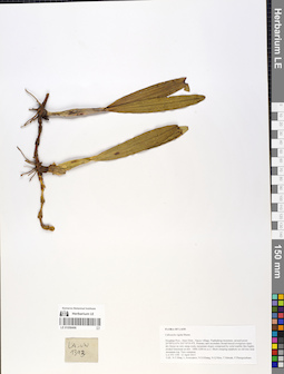 LE 01058496