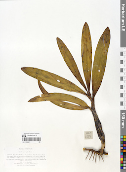 LE 01058521