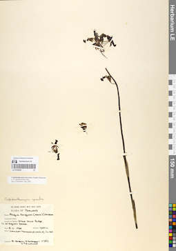 LE 01058560