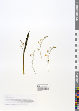 LE 01058757