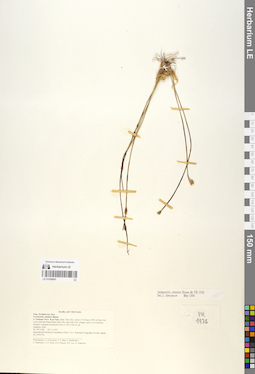 LE 01058847