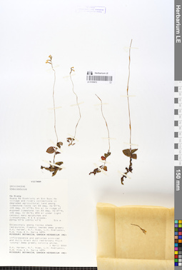 LE 01058872