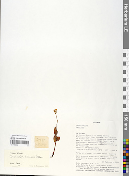 LE 01058876