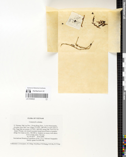 LE 01058920