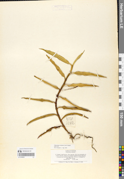 LE 01058925
