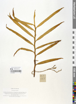 LE 01058933