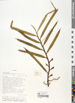 LE 01058934