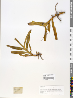 LE 01058946