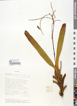 LE 01058963