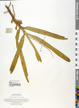 LE 01058972