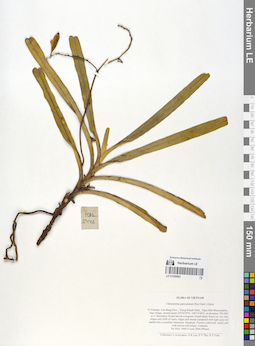 LE 01058983