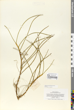 LE 01059018