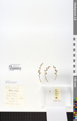 LE 01059029