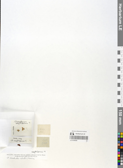 LE 01059058