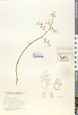 LE 01059063