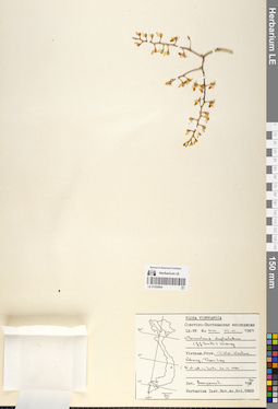 LE 01059064
