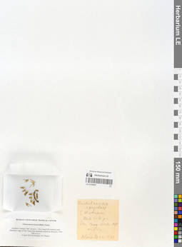 LE 01059097