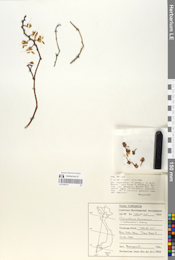 LE 01059118
