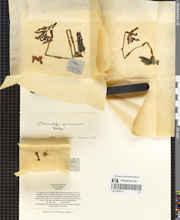 LE 01059143