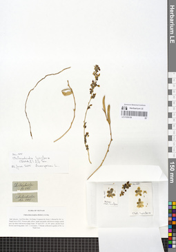 LE 01059158