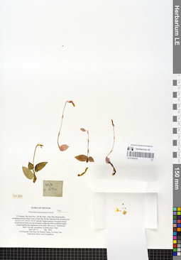 LE 01059193