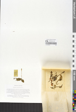 LE 01059194
