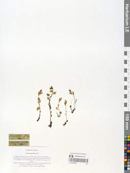 LE 01059200
