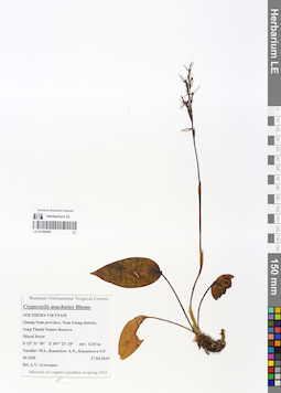 LE 01059458
