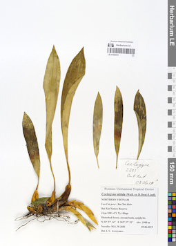 LE 01059474