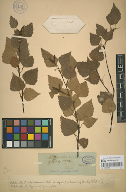 LE 01051993