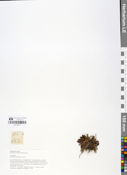 LE 01048771