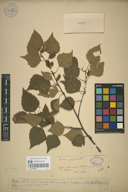 LE 01051995