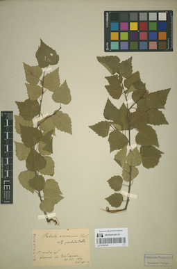 LE 01051997