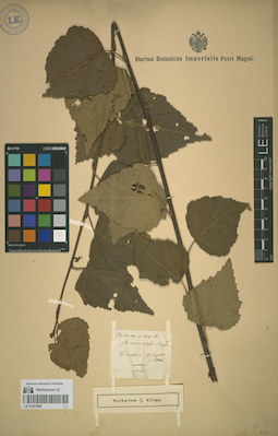 LE 01051998