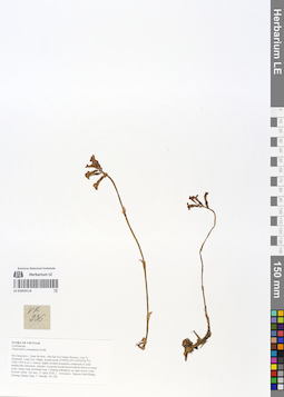 LE 01054114