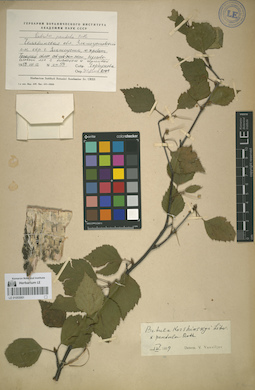 LE 01053001