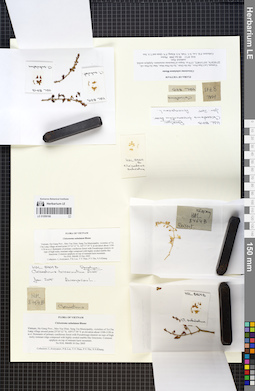 LE 01059166